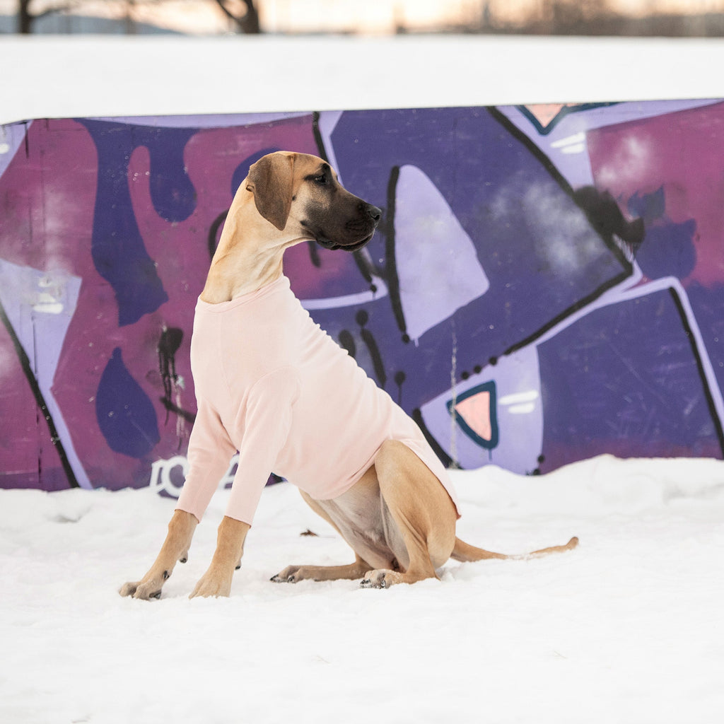 Micro Polar Fleece Base Layer | Pink | Dogs | Stella & Bone - Stella & Bone