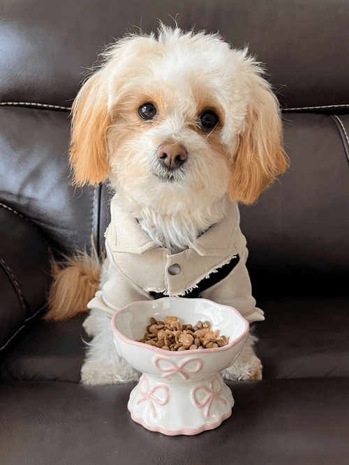 Bow & Scallop Ceramic Pet Bowl | Elevated Princess Feeding Bowl | Stella & Bone