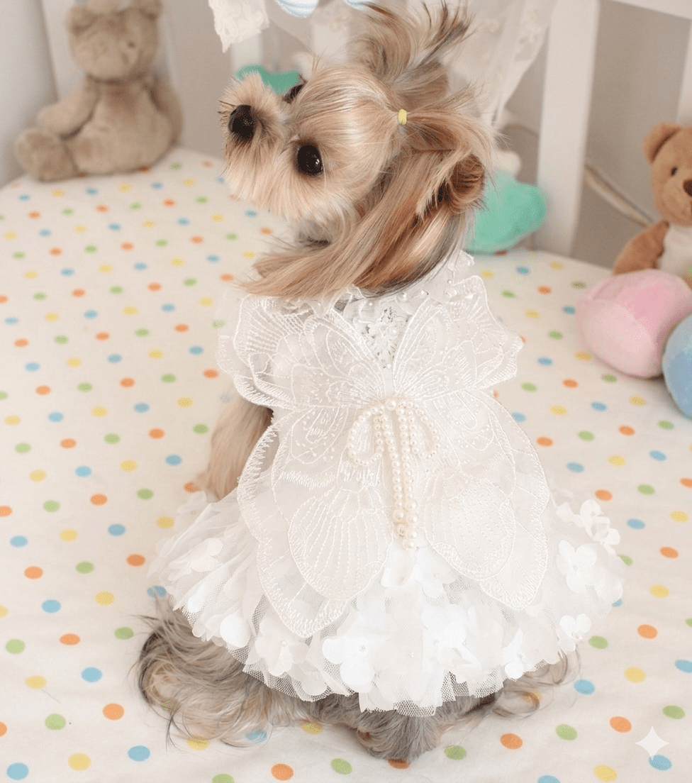 The Ethereal | Pearl Butterfly Wedding Pet Dress | Stella & Bone - Stella & Bone