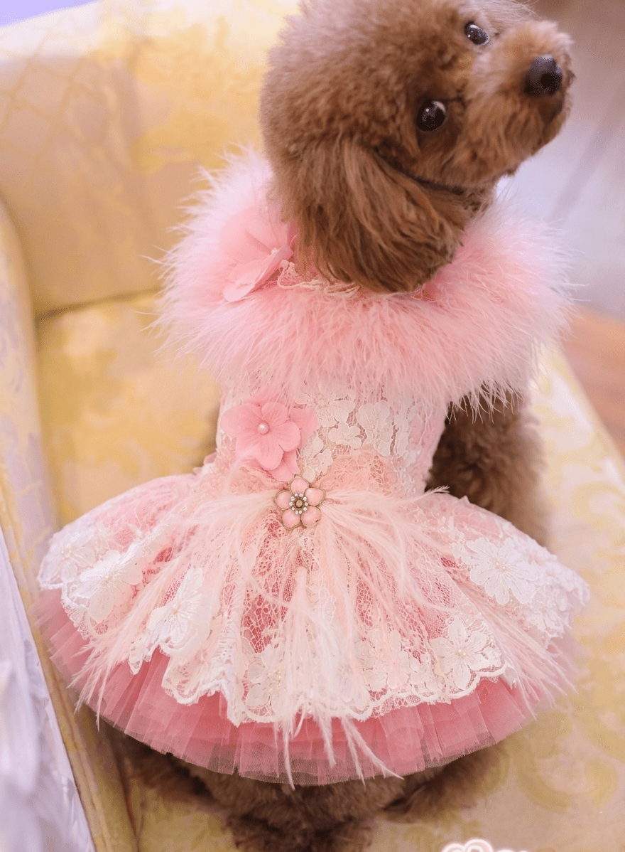 Pink Swan Feather Tutu Dress | Luxury Dog Clothing | Stella & Bone - Stella & Bone