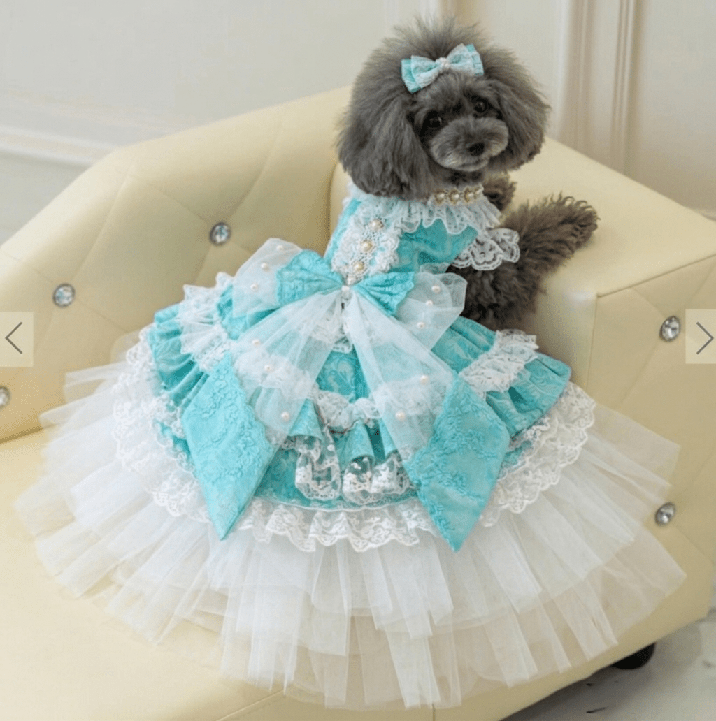 Rococo Princess Crinoline Gown | Luxury Dog Clothing | Stella & Bone - Stella & Bone