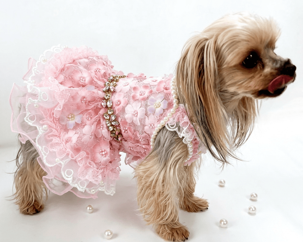 Pink Blossom Floral Princess Dress | Luxury Dog Clothing | Stella & Bone - Stella & Bone