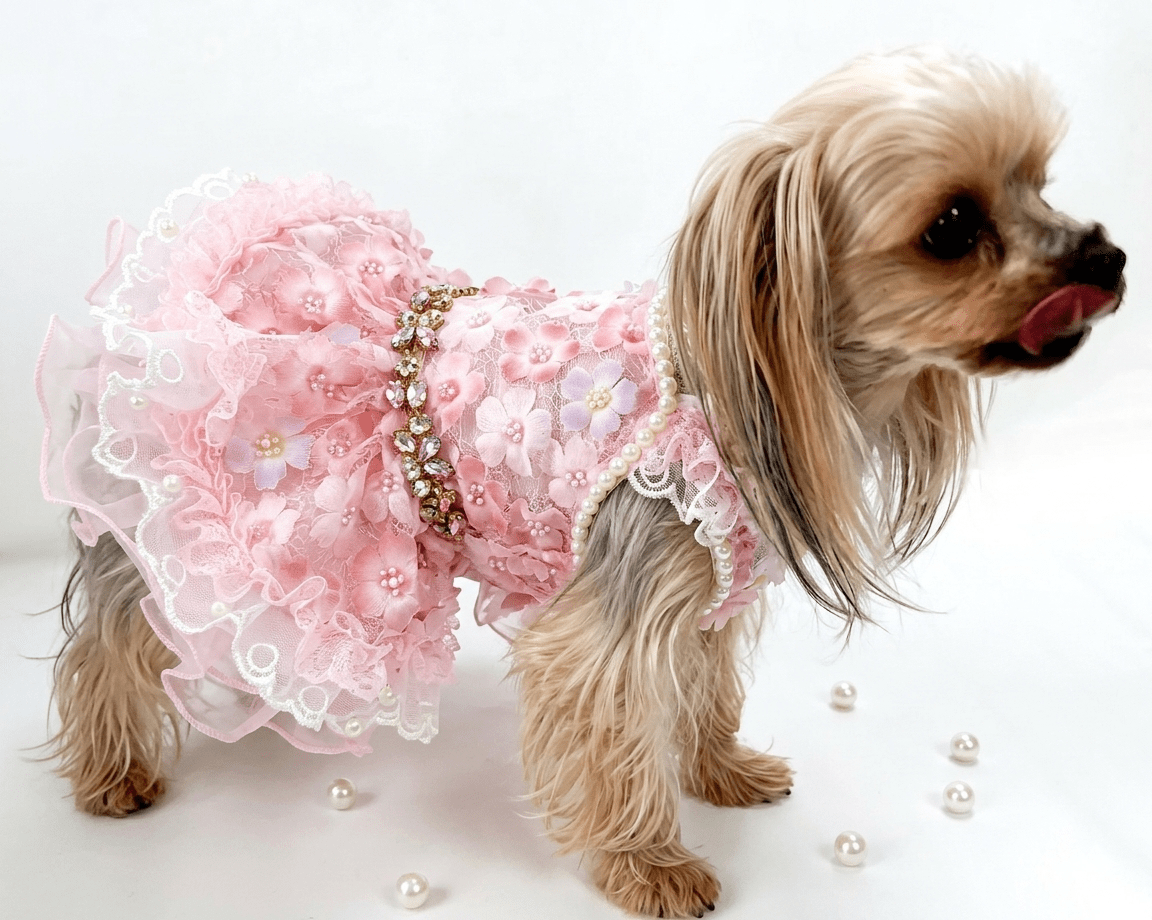 Pink Blossom Floral Princess Dress | Luxury Dog Clothing | Stella & Bone - Stella & Bone