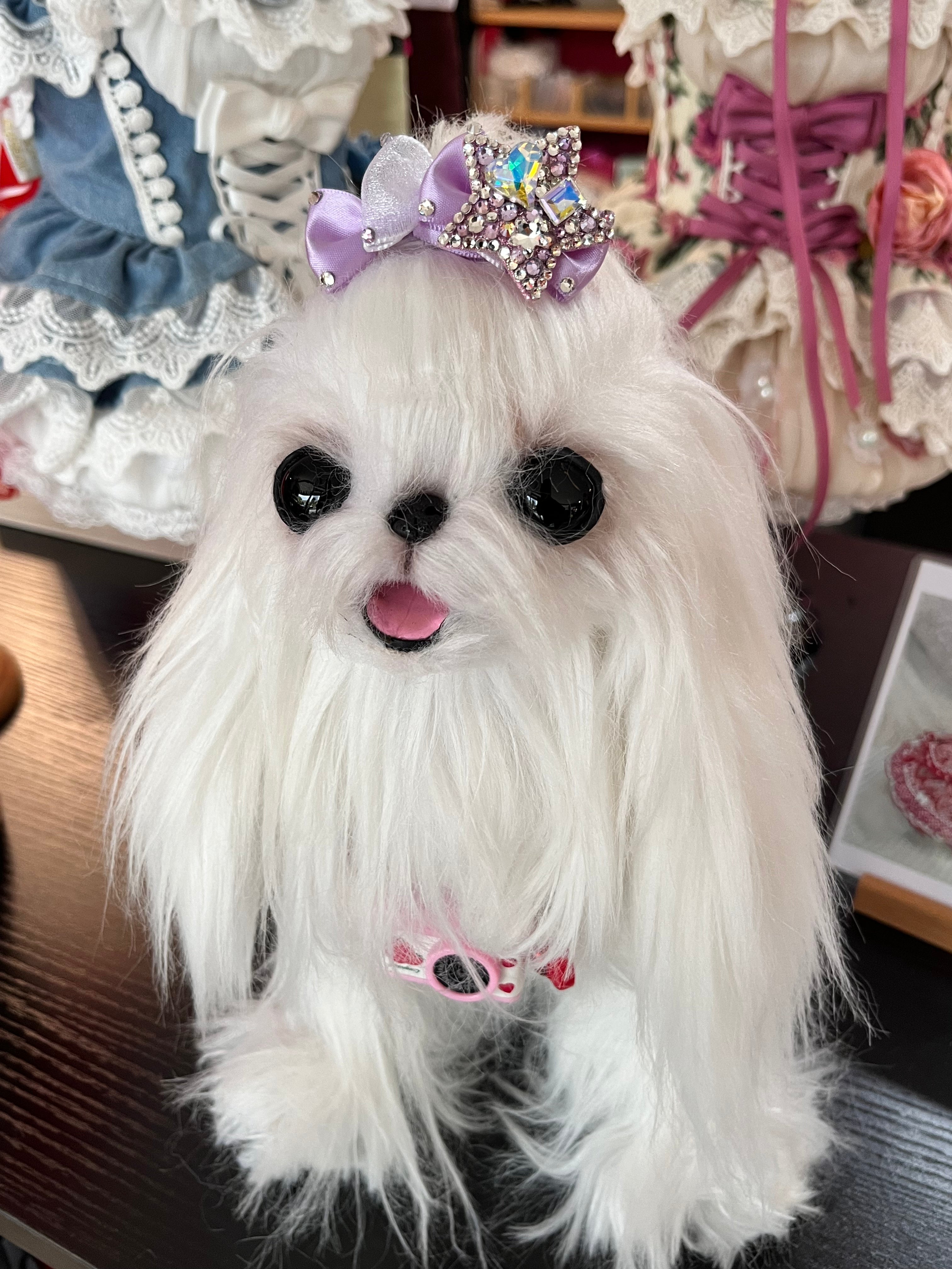 Rhinestone Star Bow Hair Clip | Pet Hair Accessory | Stella & Bone - Stella & Bone