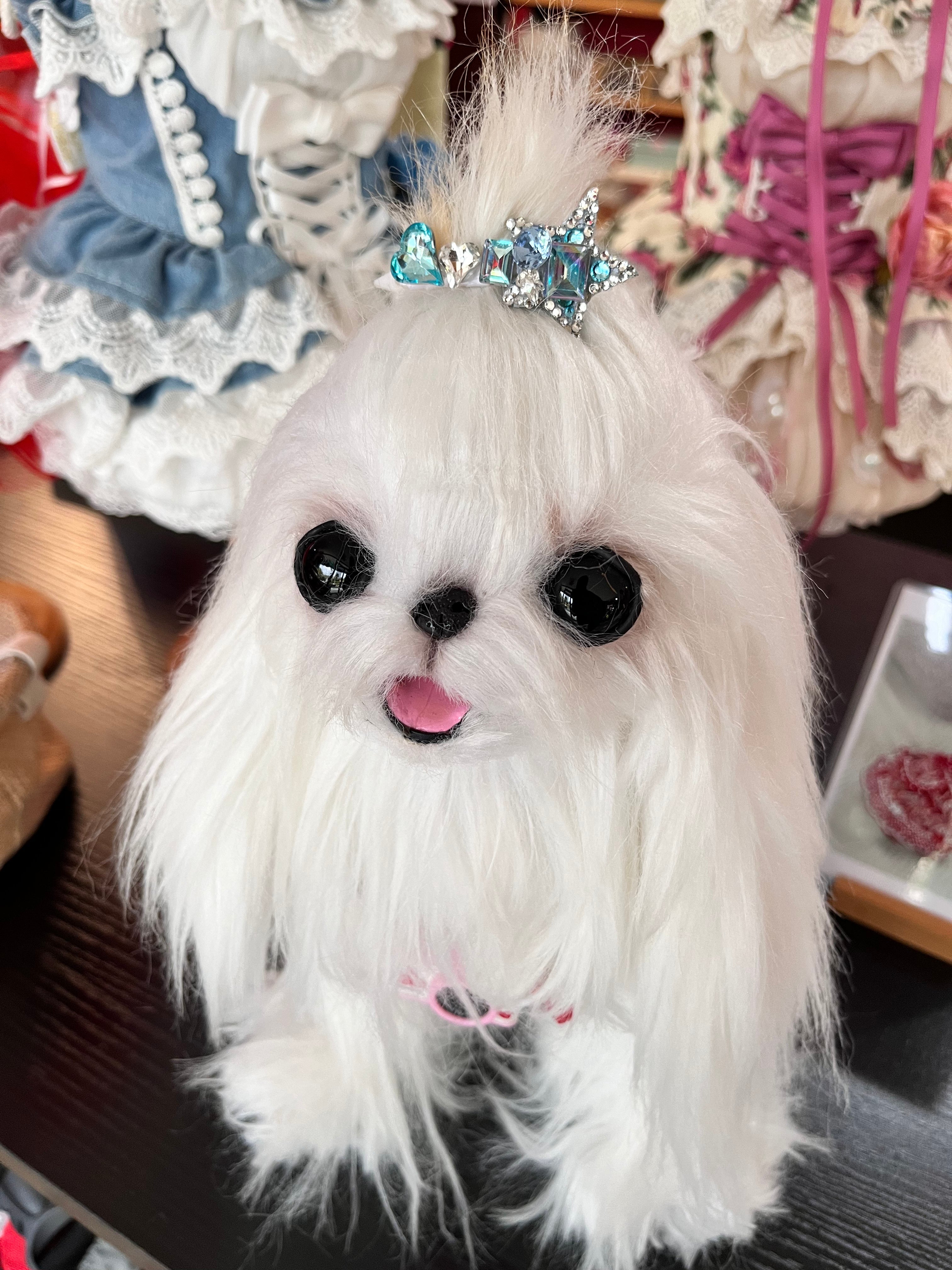 The Glam Set | Pet Headwear | Dogs & Cats | Stella & Bone