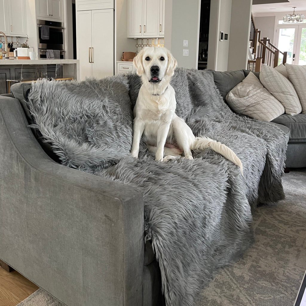 Waterproof Throw | Charcoal Grey | Dogs | Stella & Bone - Stella & Bone
