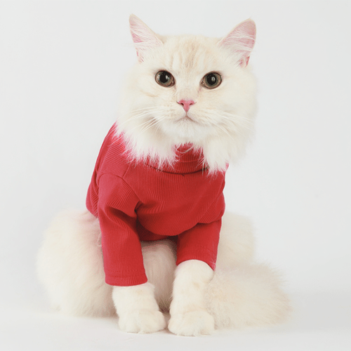 Classic Cotton Turtleneck | Cats | Stella & Bone - Stella & Bone