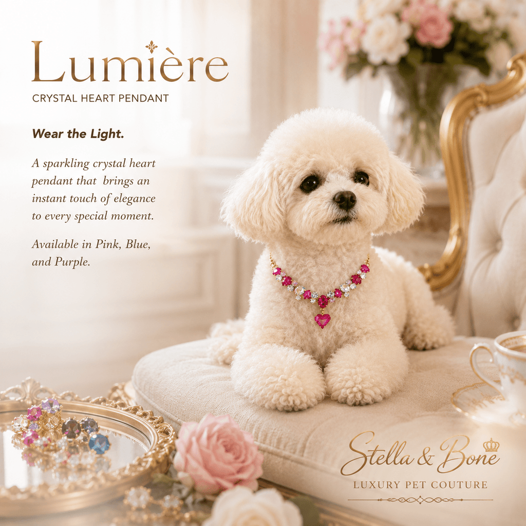 White Bichon Frise wearing Lumiere pink crystal heart pendant necklace for dog or cat birthday or special occasion