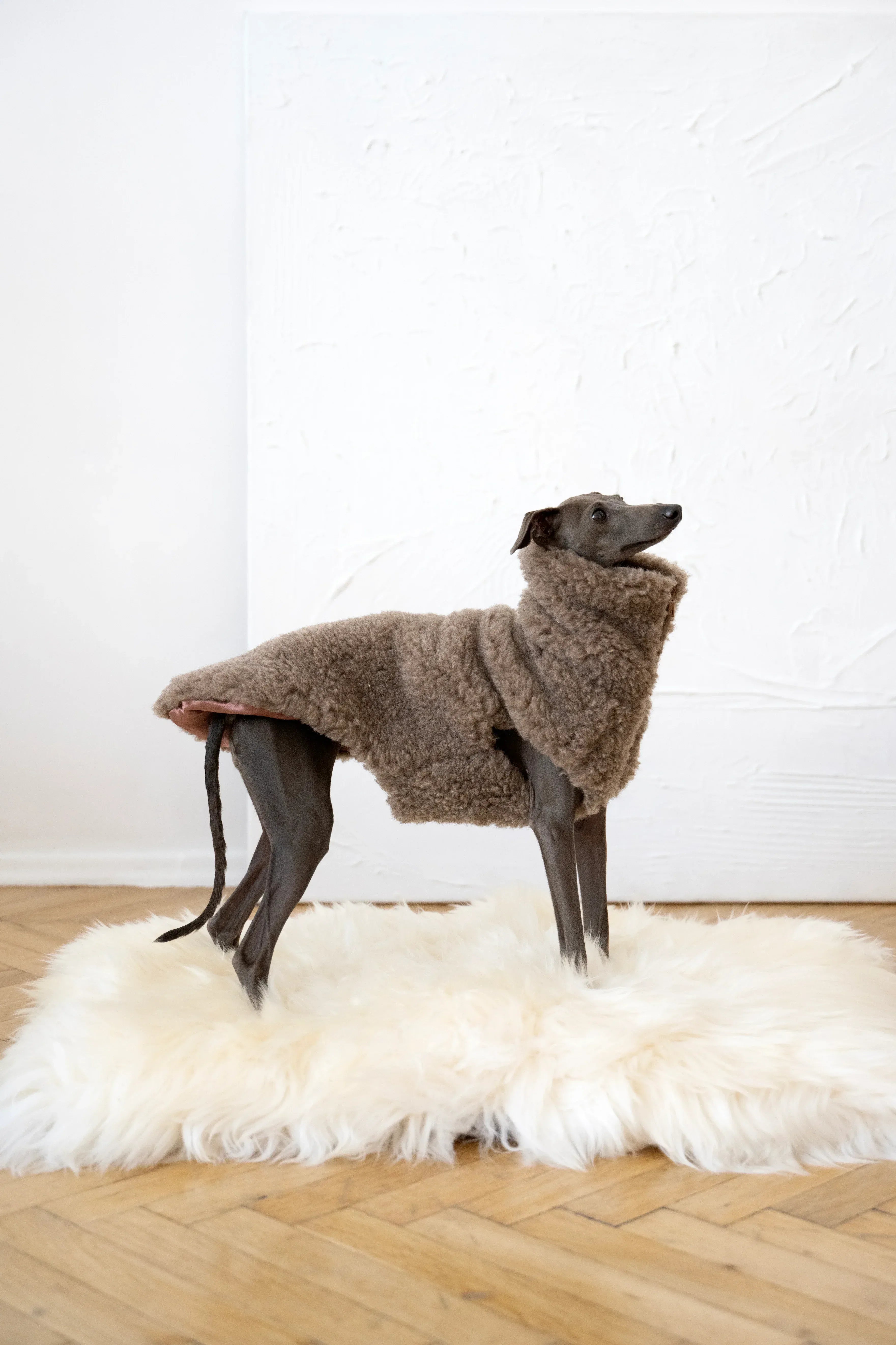 Natural Sheepskin Mat | Dogs & Cats | White | Stella & Bone - Stella & Bone