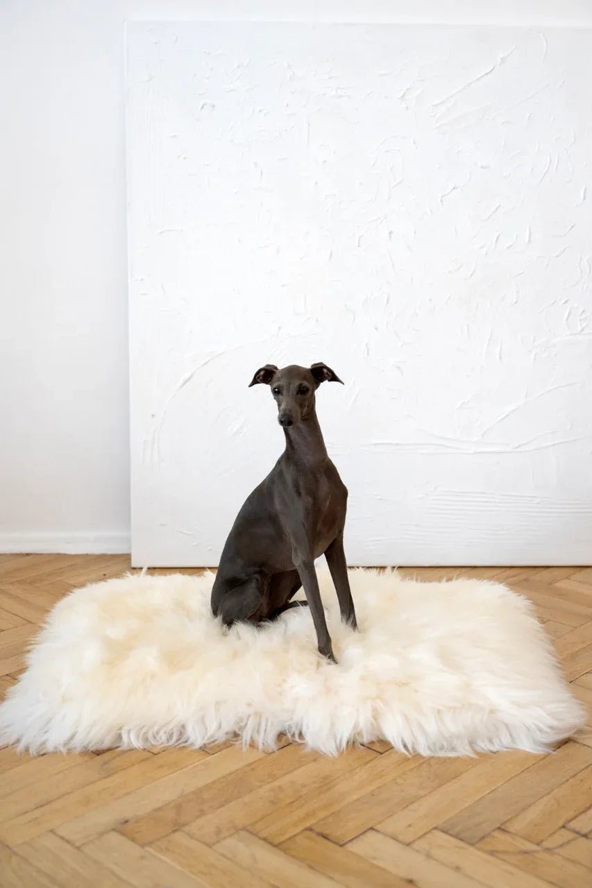 Natural Sheepskin Mat | Dogs & Cats | White | Stella & Bone - Stella & Bone