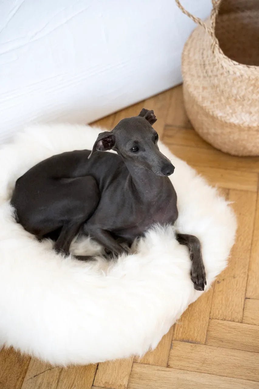 Round Natural Sheepskin Cat Bed & Dog Bed | Stella & Bone - Stella & Bone