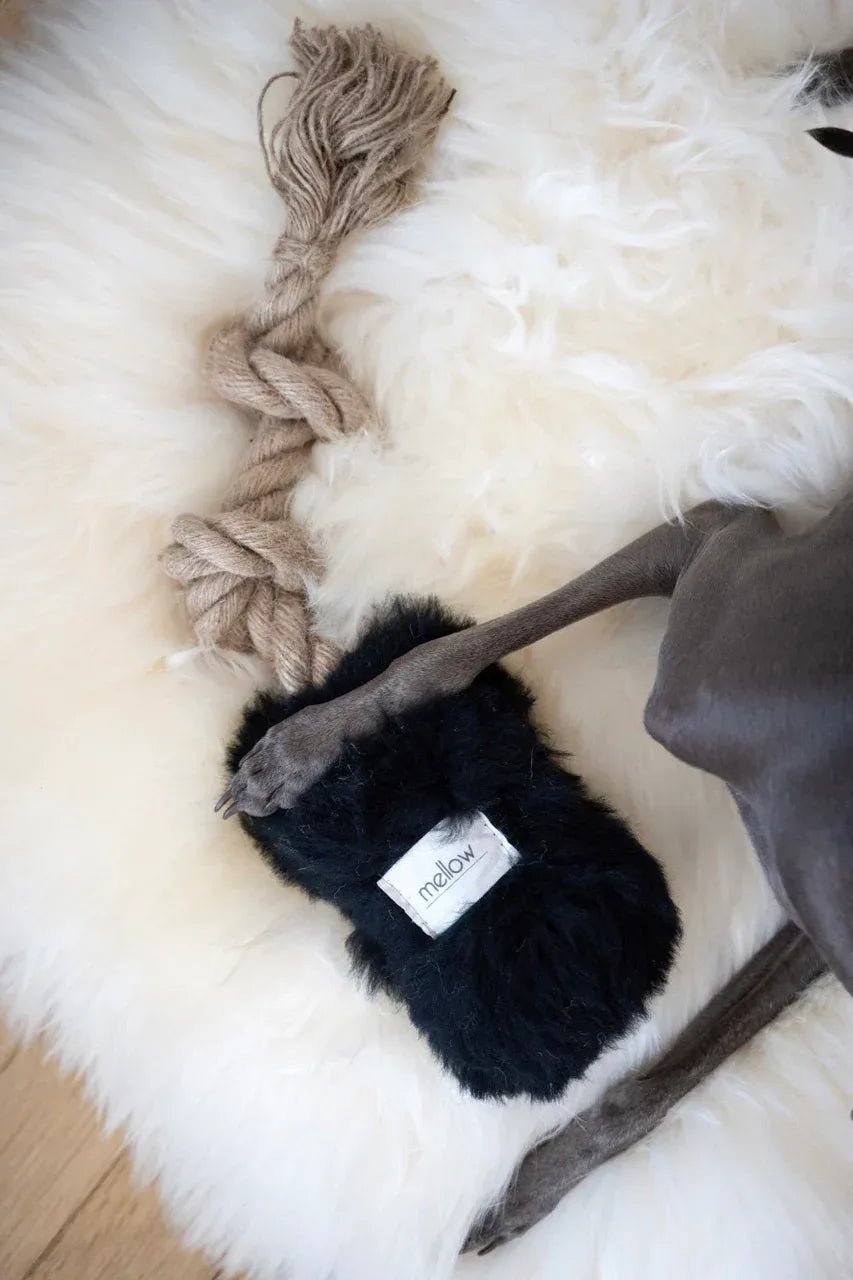 Natural Sheepskin Mat | Dogs & Cats | White | Stella & Bone - Stella & Bone