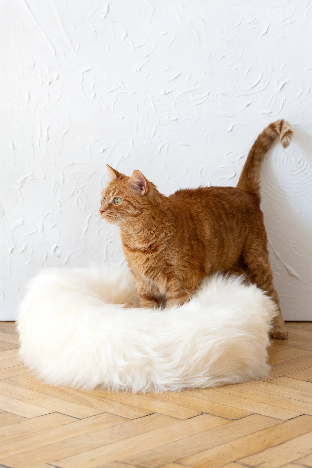 Round Natural Sheepskin Cat Bed & Dog Bed | Stella & Bone - Stella & Bone