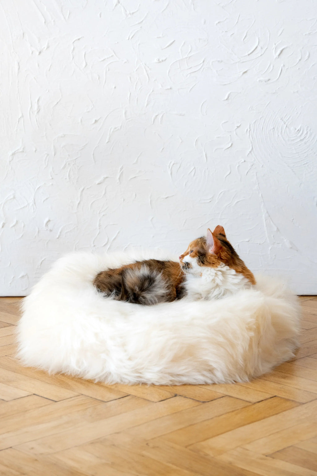 Round Natural Sheepskin Cat Bed & Dog Bed | Stella & Bone - Stella & Bone