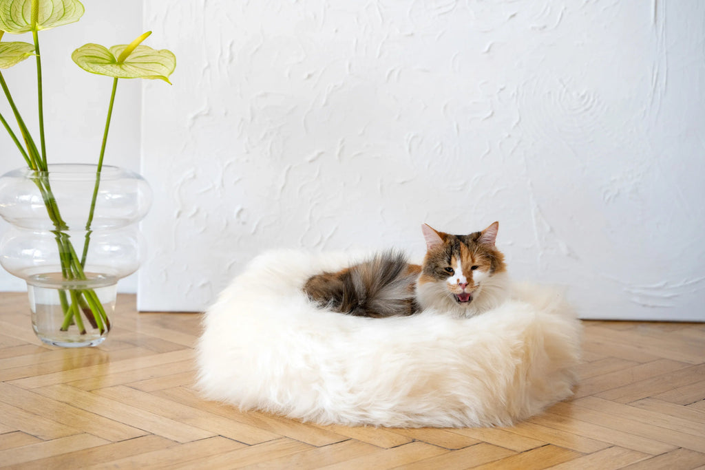 Round Natural Sheepskin Cat Bed & Dog Bed | Stella & Bone - Stella & Bone