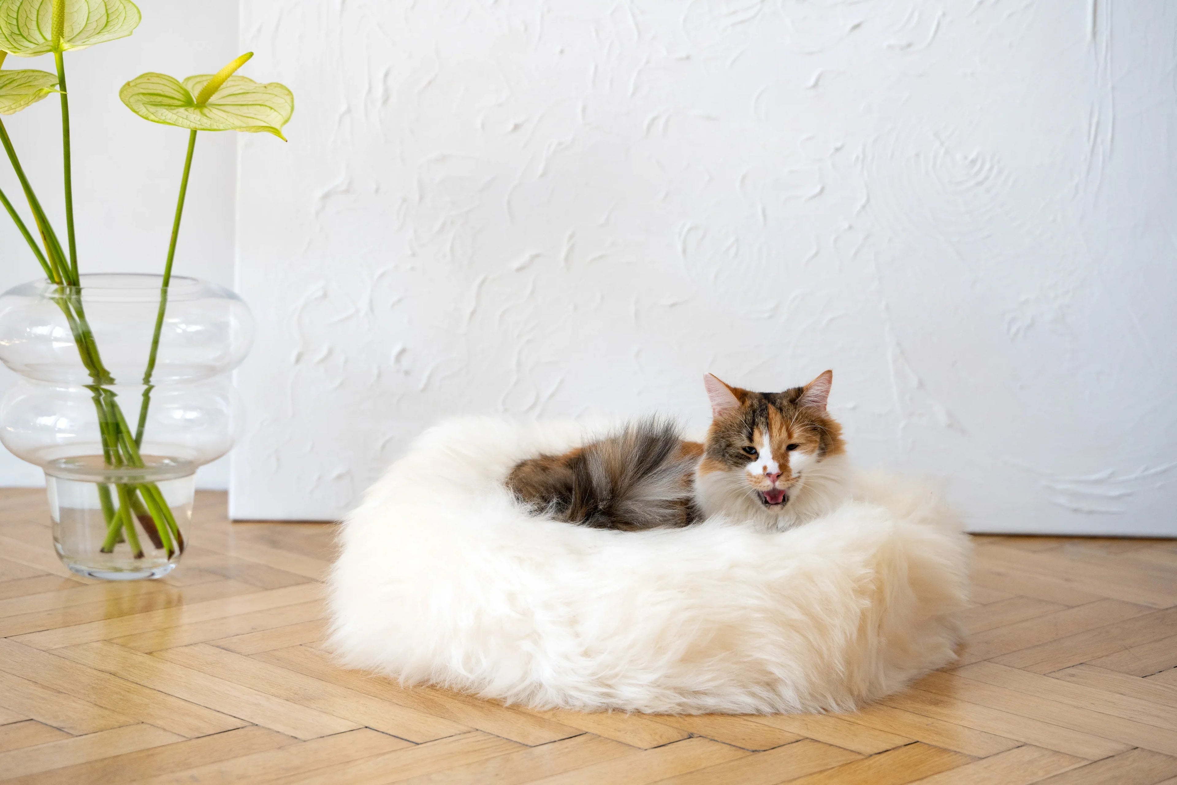 Round Natural Sheepskin Cat Bed & Dog Bed | Stella & Bone - Stella & Bone