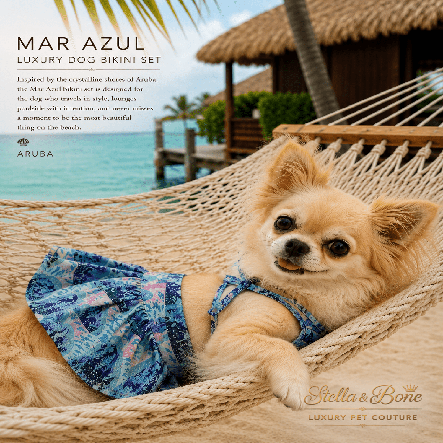 Dog wearing Mar Azul a blue floral bikini set in a hammock. Stella and Bone in Aruba, One Happy Island
