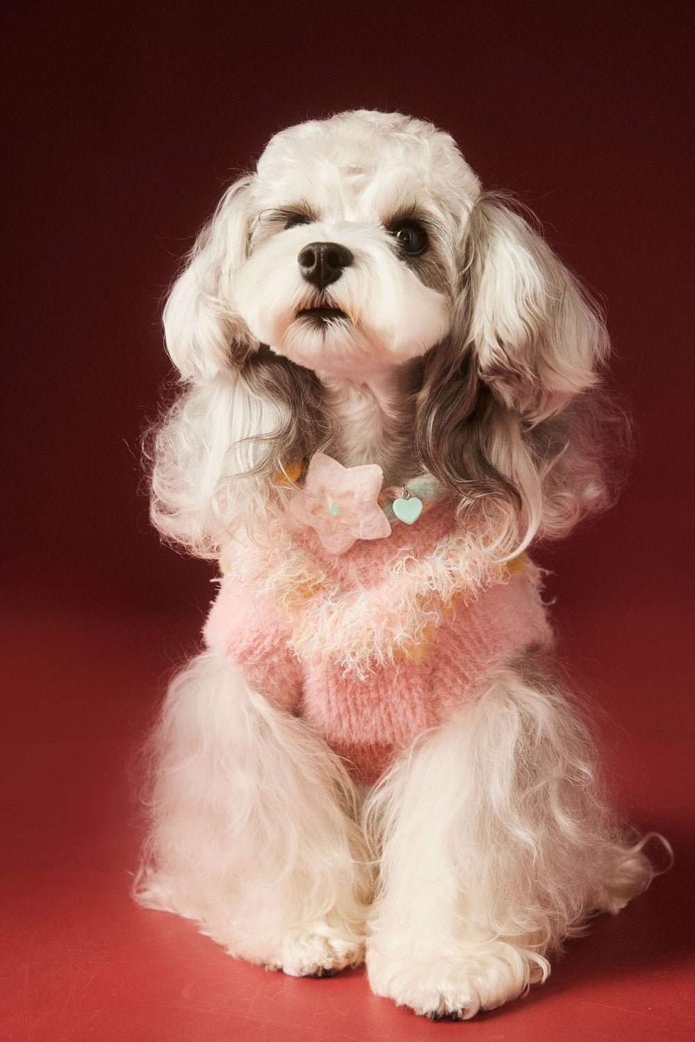 Cozy Heart Pet Sweater | Soft Knit & Warm | Dogs | Stella & Bone - Stella & Bone