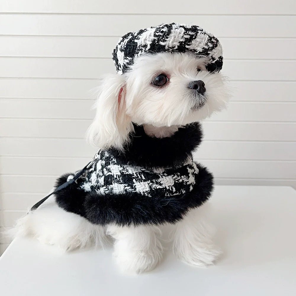 Dog Houndstooth Cape, Hat & Leash Set | Classic Style | XS–XL | Stella & Bone - Stella & Bone