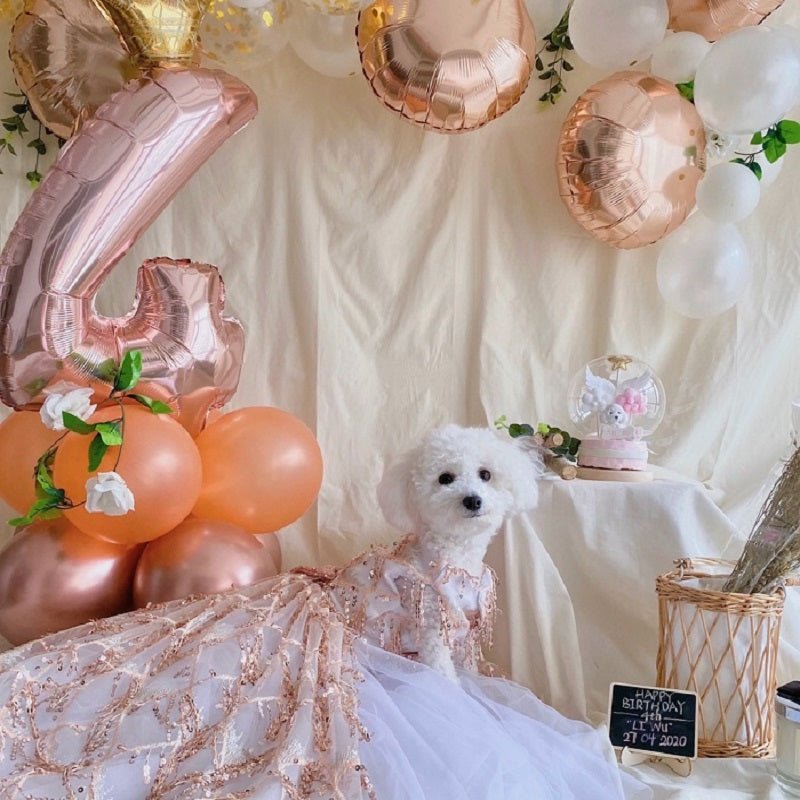 Gold Sequin Couture Evening Gown | Luxury Dog Clothing | Stella & Bone - Stella & Bone