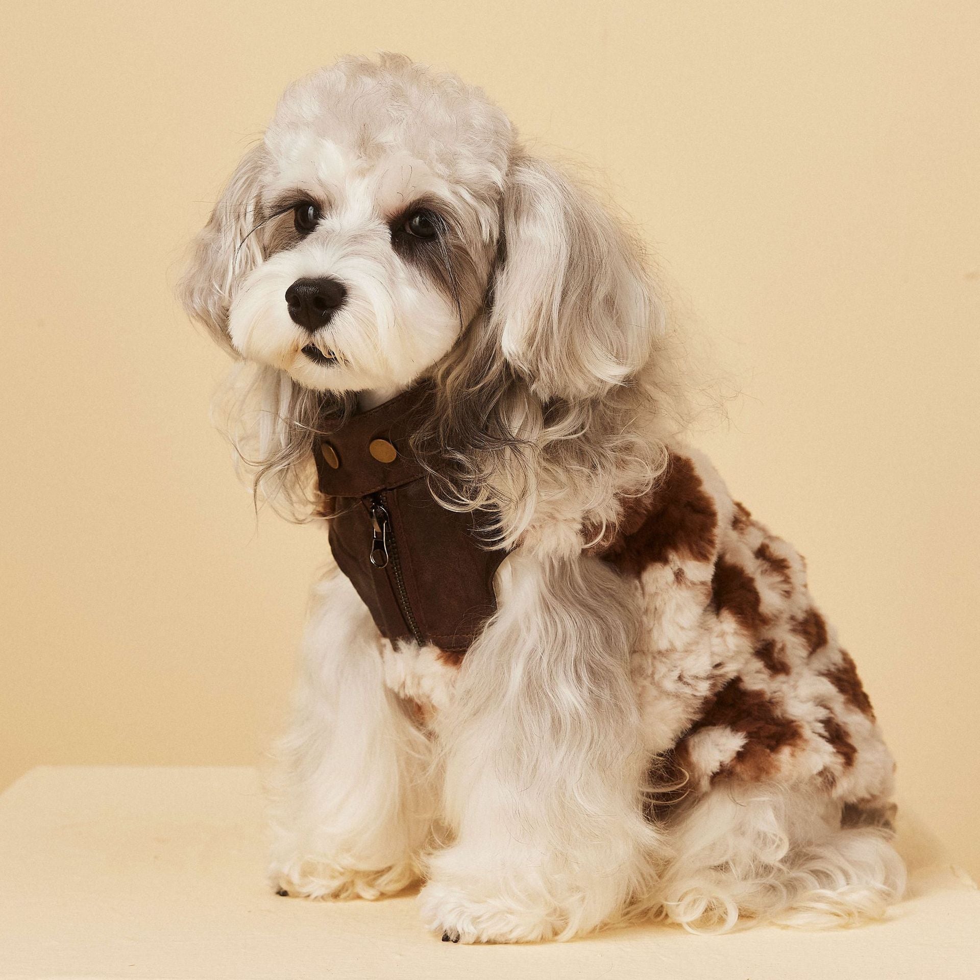 Cow Print Faux Shearling Dog Jacket | Western Cozy | S–XXL | Stella & Bone - Stella & Bone