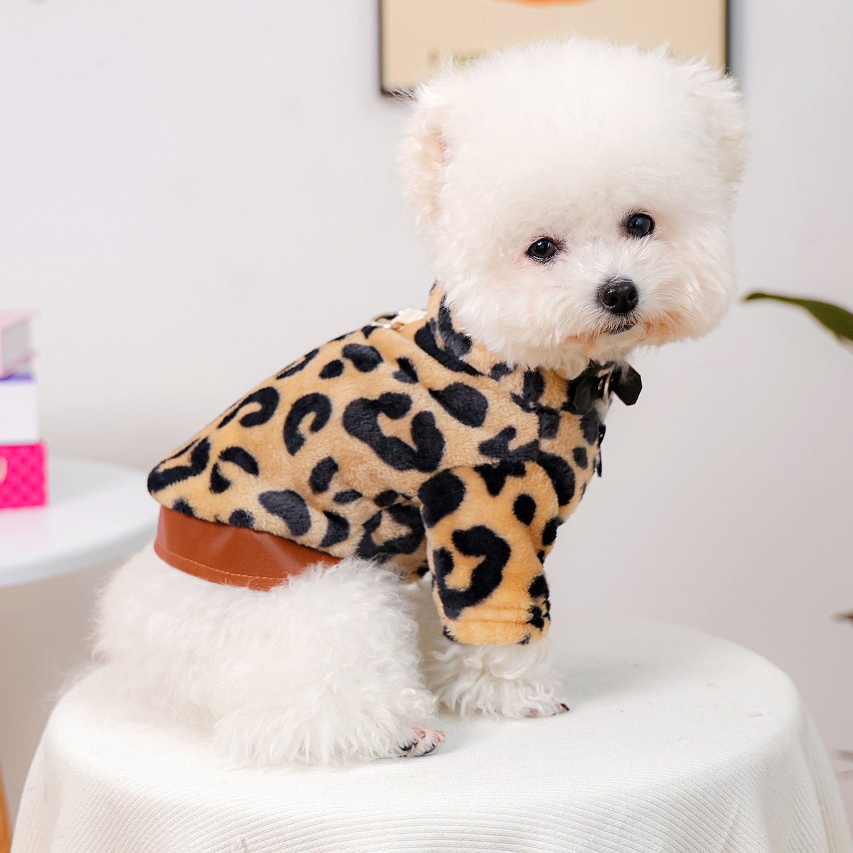 Leopard Plush Dog Jacket | Cozy & Chic | Stella & Bone - Stella & Bone