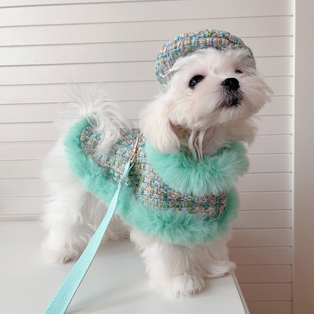 Dog Green Tweed Cape, Hat & Leash Set | Classic Style | XS–XL | Stella & Bone - Stella & Bone