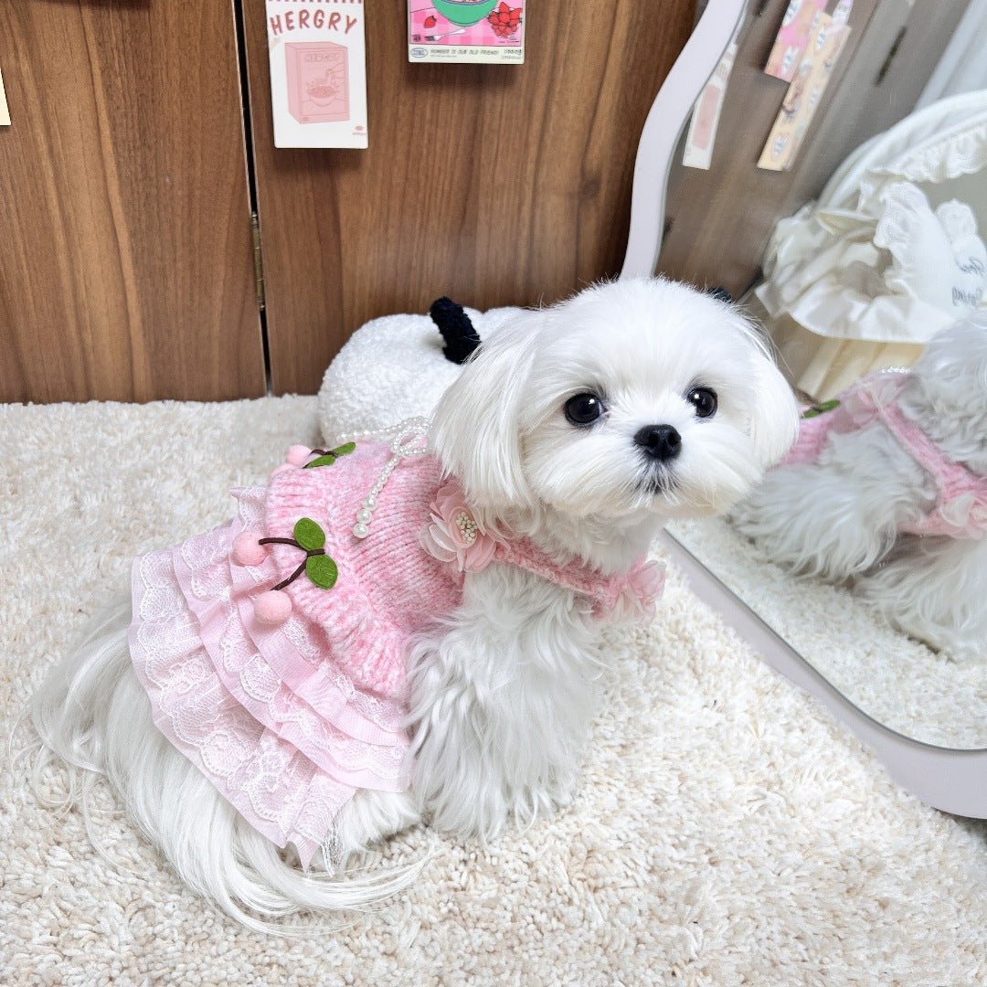 Pink Cherry Sweater Dress | Dogs & Cats | Stella & Bone - Stella & Bone