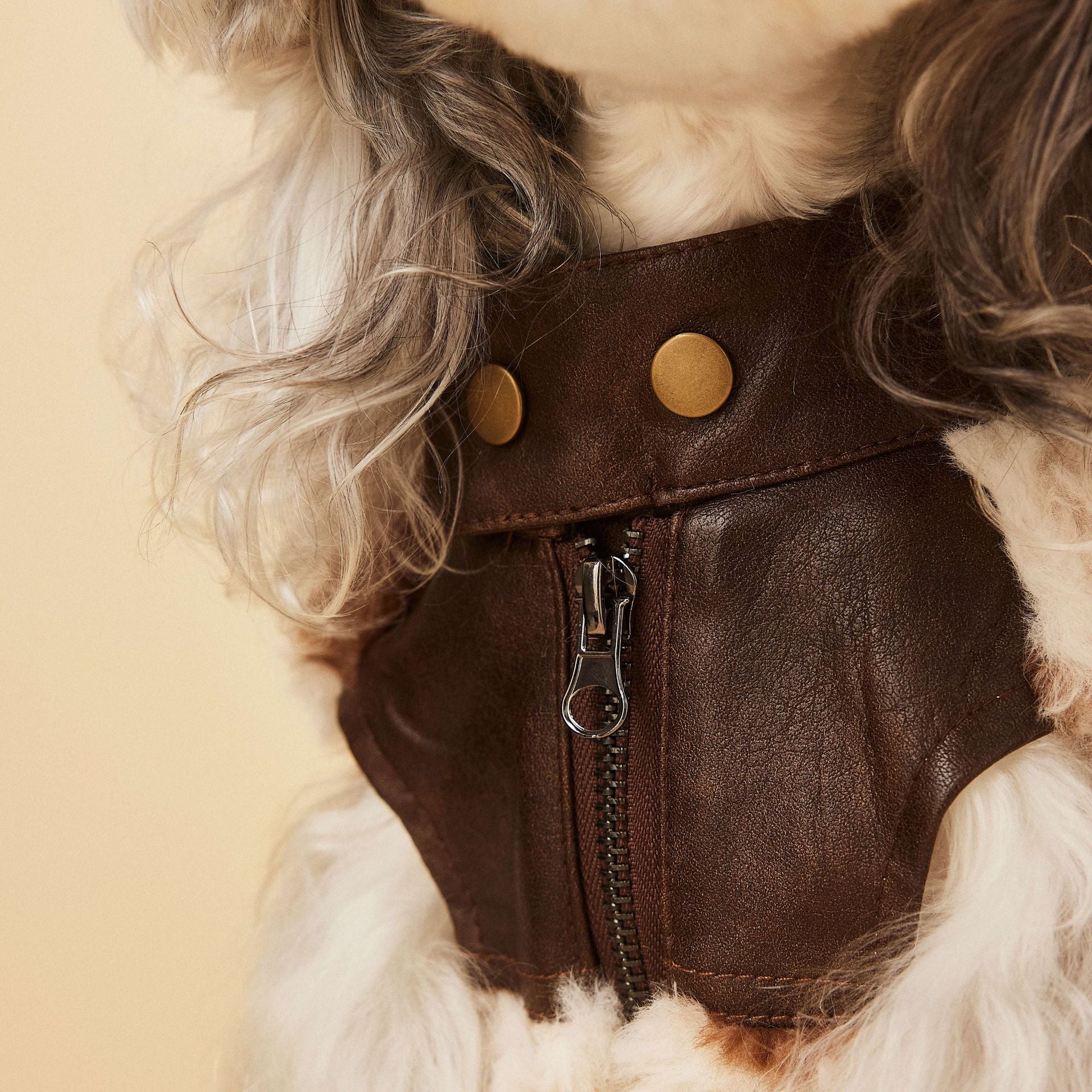 Cow Print Faux Shearling Dog Jacket | Western Cozy | S–XXL | Stella & Bone - Stella & Bone