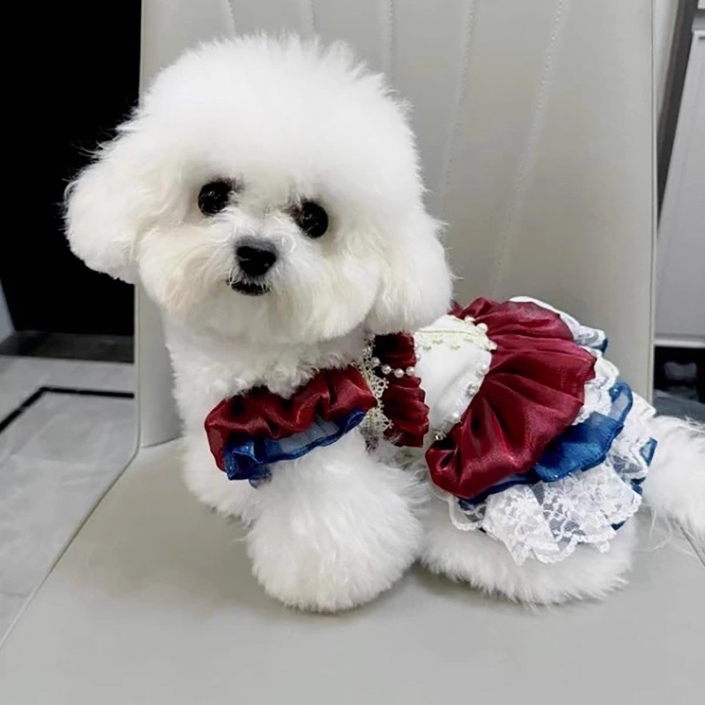 Royal Lace Tutu Dress | Dogs & Cats | Stella & Bone - Stella & Bone