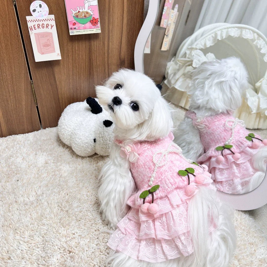 Pink Cherry Sweater Dress | Dogs & Cats | Stella & Bone - Stella & Bone