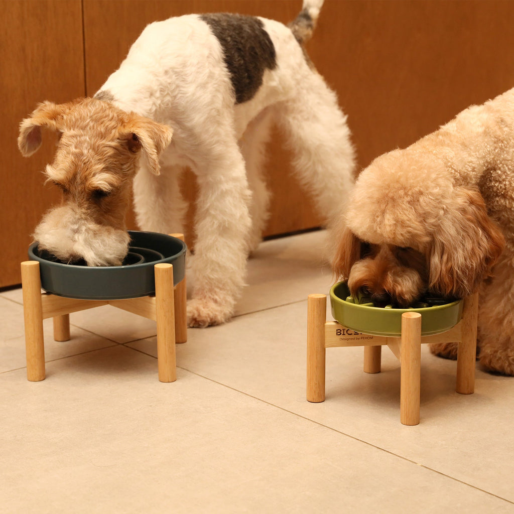 Ripple Ceramic Slow Feeder Bowl | Pink | Beige | Orange | Stella & Bone - Stella & Bone