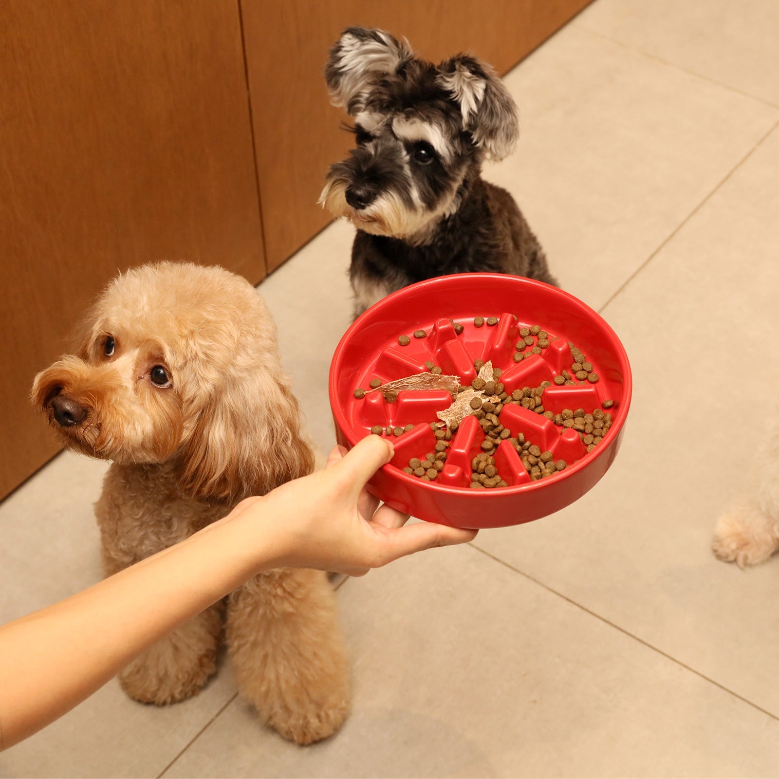 Ripple Ceramic Slow Feeder Bowl | Pink | Beige | Orange | Stella & Bone - Stella & Bone