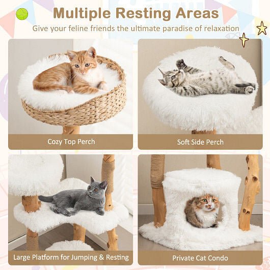 Sanctuary Cat Tower | Solid Wood | Indoor Cats | Stella & Bone