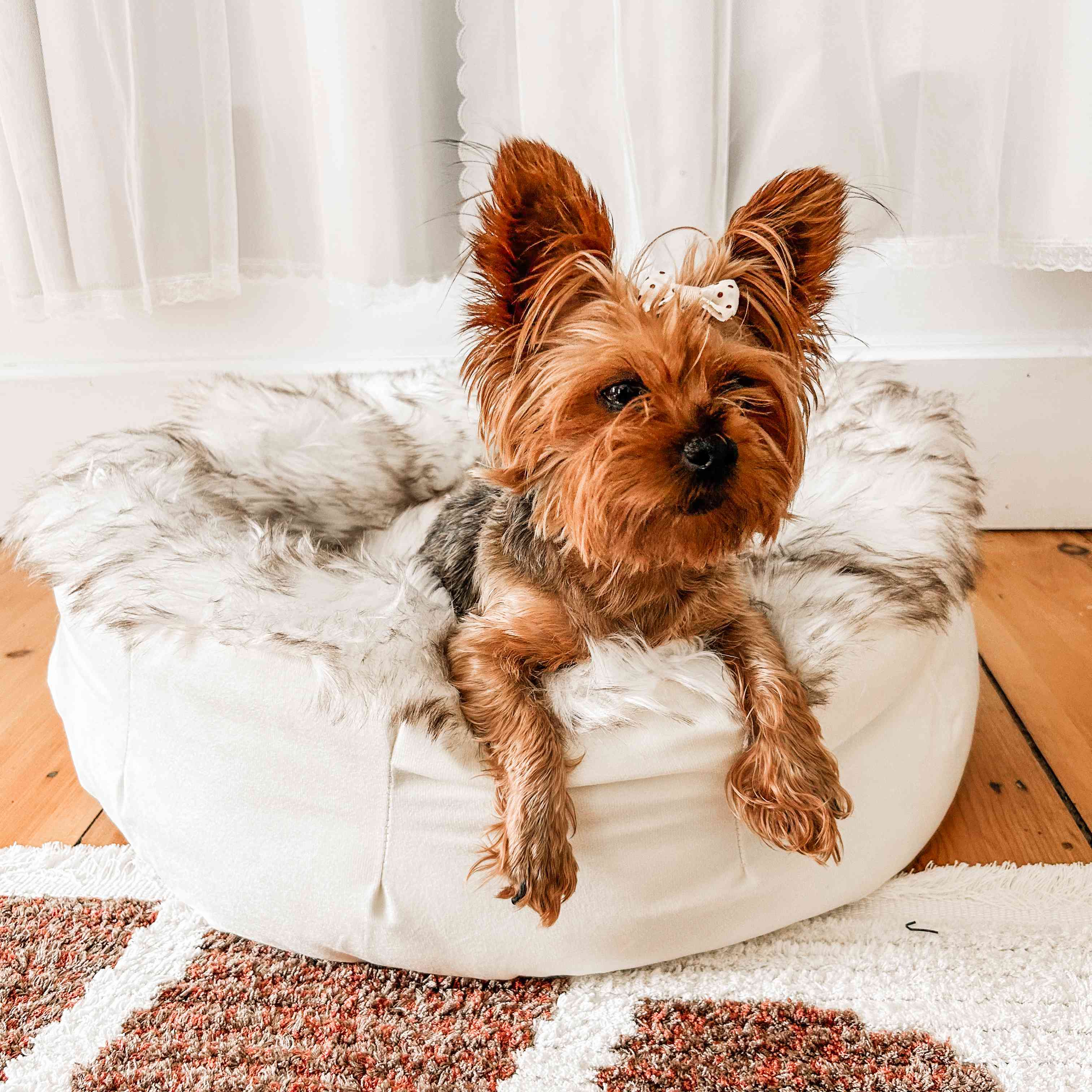 Luxe Faux Fur Donut Bed | Dogs & Cats | White & Brown | Stella & Bone - Stella & Bone