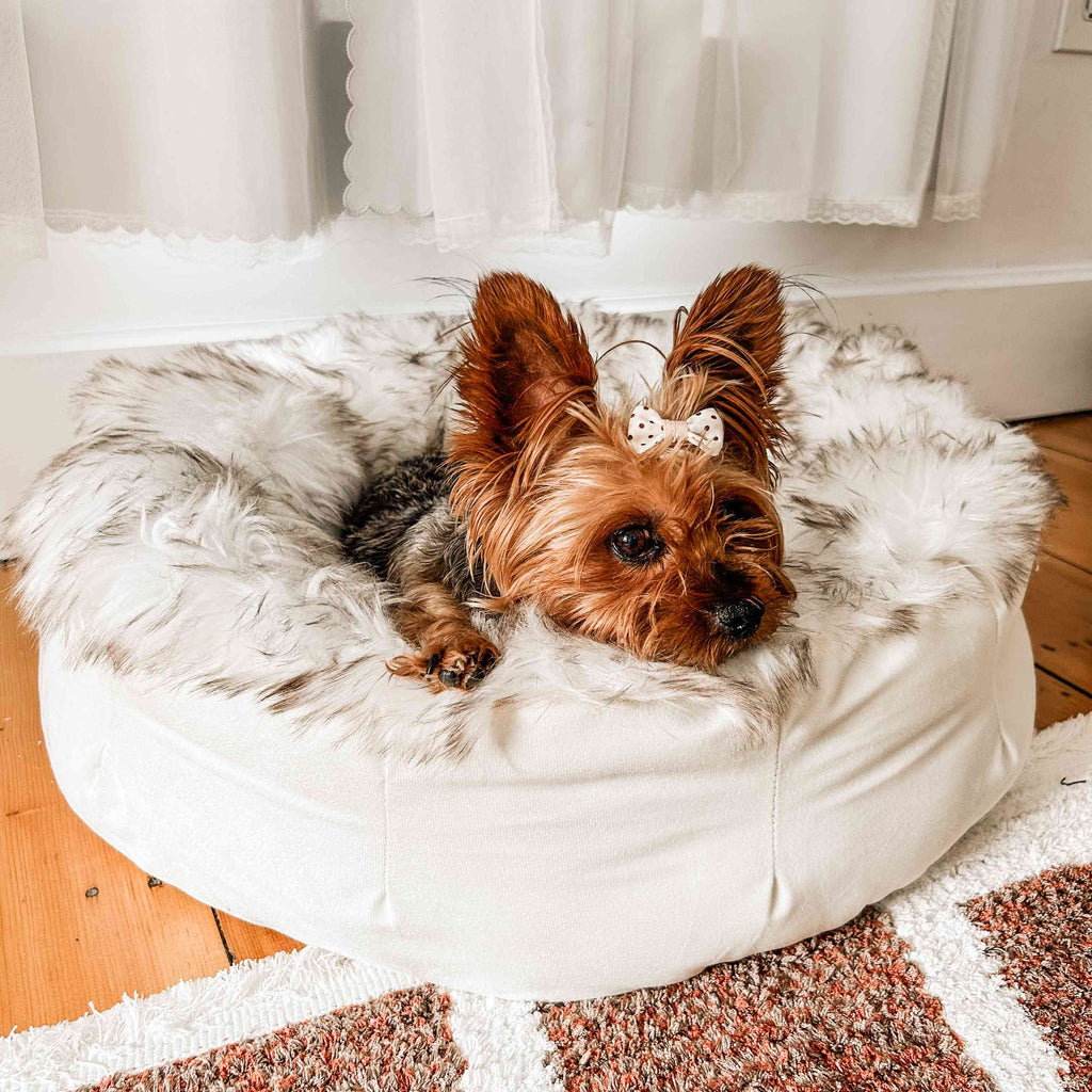Luxe Faux Fur Donut Bed | Dogs & Cats | White & Brown | Stella & Bone - Stella & Bone