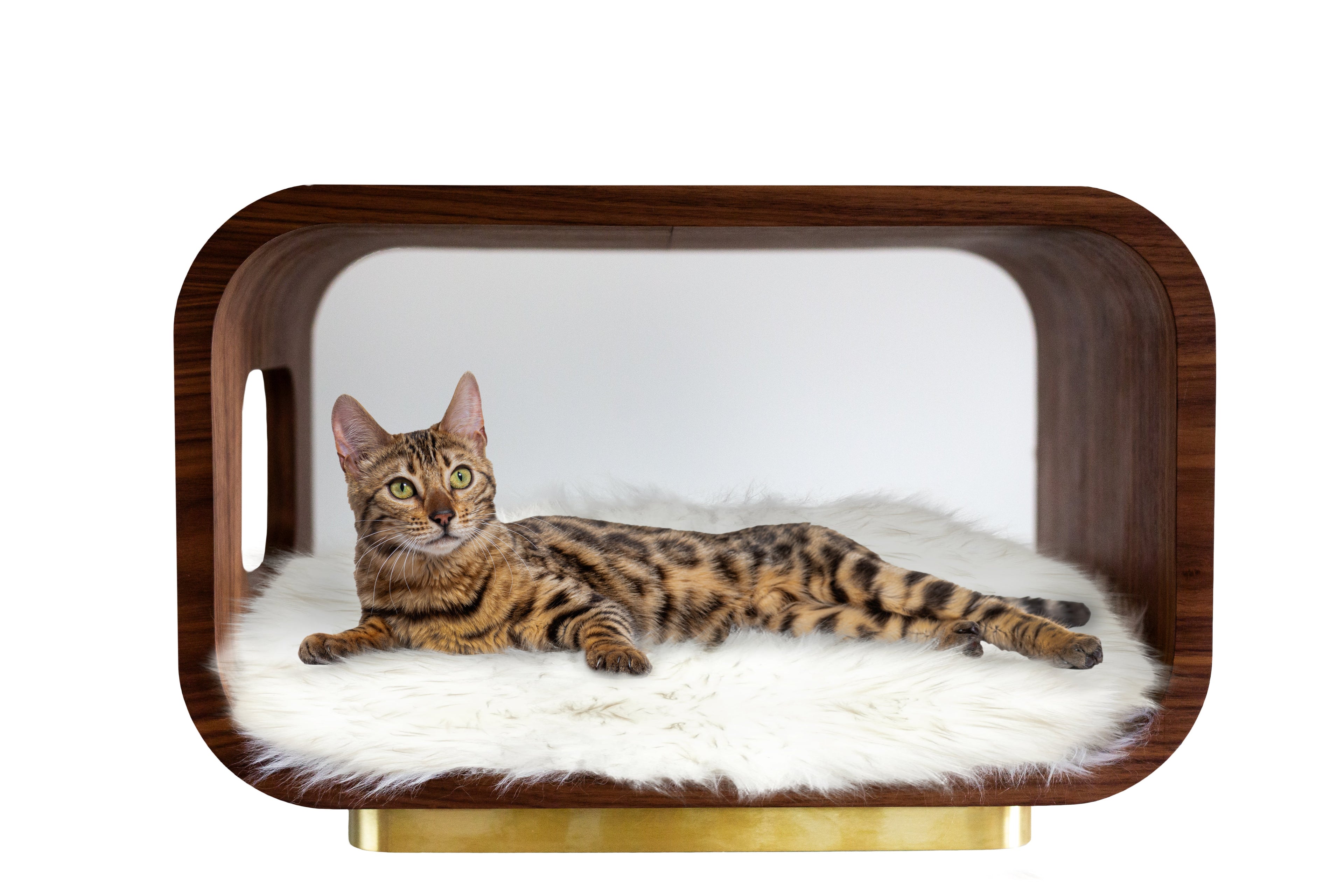 The Artisan Sculpt Bed | Walnut & Gold Design | Stella & Bone