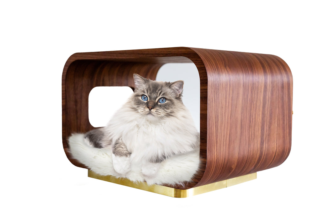 The Artisan Sculpt Bed |Walnut Luxury Pet Bed | Stella & Bone