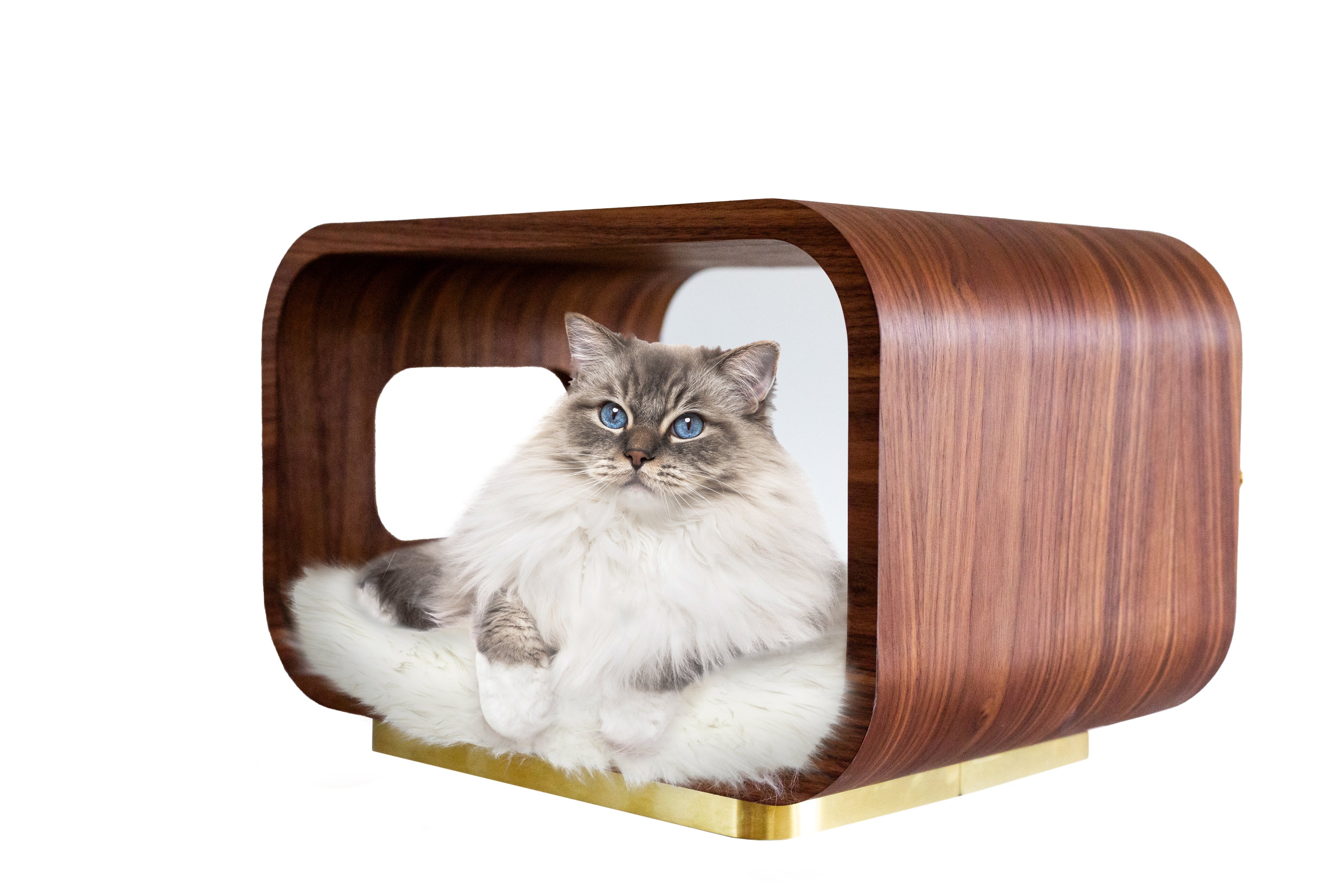 The Artisan Sculpt Bed |Walnut Luxury Pet Bed | Stella & Bone
