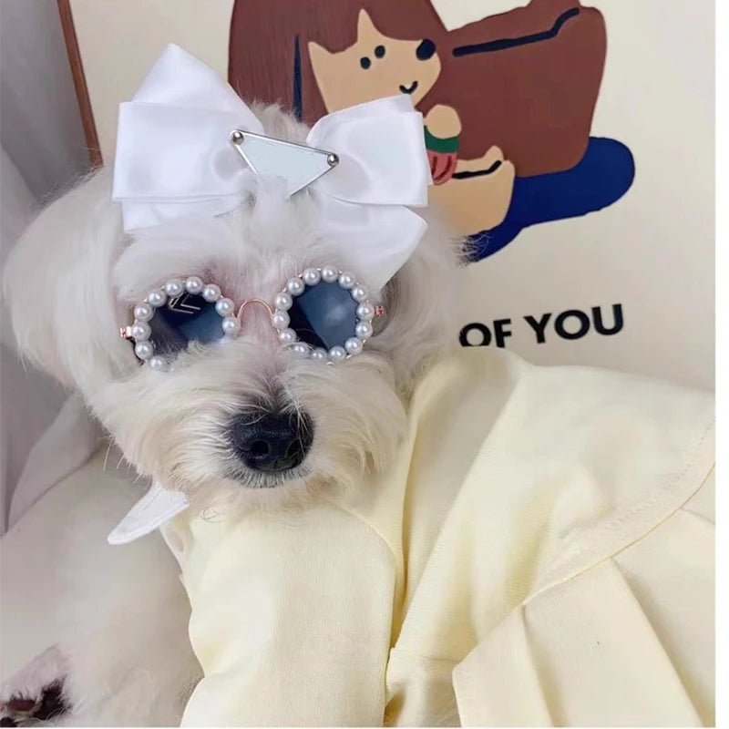 Luxury Pet Sunglasses | Dogs & Cats | Stella & Bone - Stella & Bone