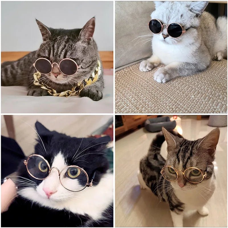 Luxury Pet Sunglasses | Dogs & Cats | Stella & Bone - Stella & Bone