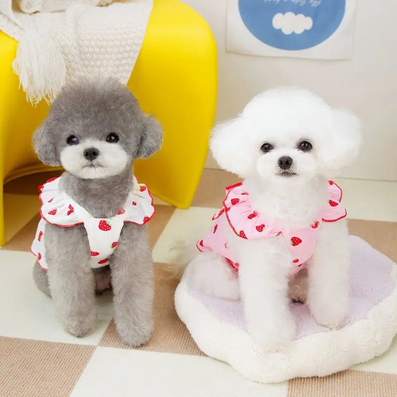 Strawberry Summer Dress | Dogs & Cats | Stella & Bone - Stella & Bone