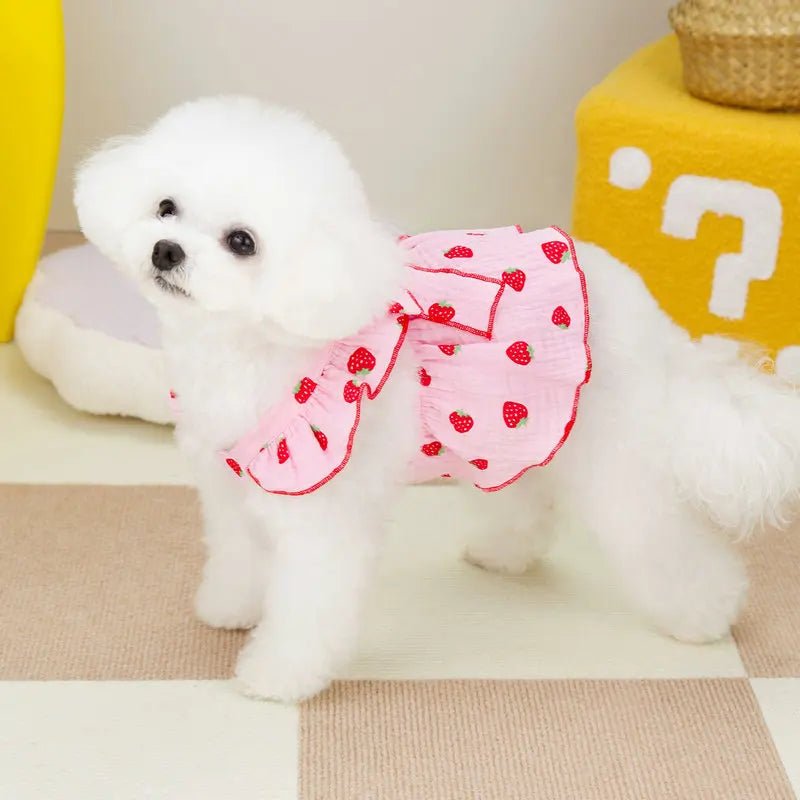 Strawberry Summer Dress | Dogs & Cats | Stella & Bone - Stella & Bone