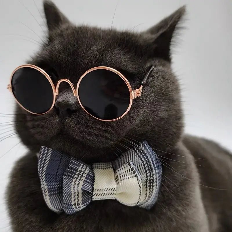 Luxury Pet Sunglasses | Dogs & Cats | Stella & Bone - Stella & Bone