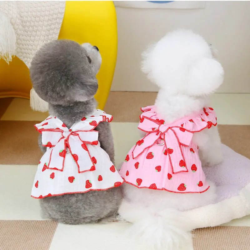 Strawberry Summer Dress | Dogs & Cats | Stella & Bone - Stella & Bone