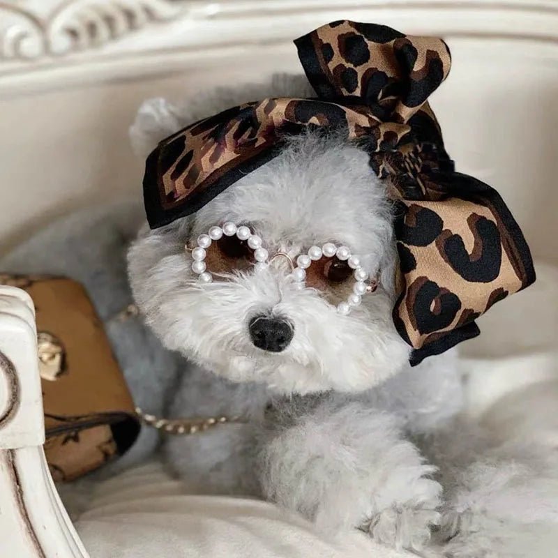 Luxury Pet Sunglasses | Dogs & Cats | Stella & Bone - Stella & Bone