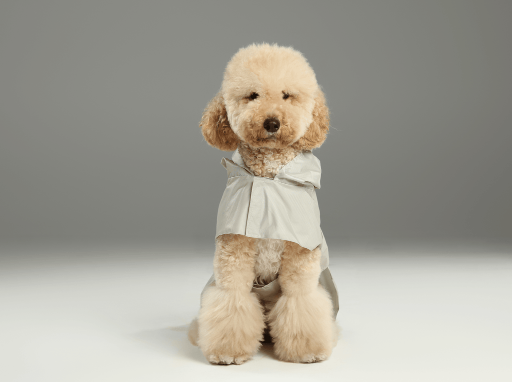 Minimalist Rain Jacket for Dogs & Cats | Beige | Dogs & Cats | Stella & Bone
