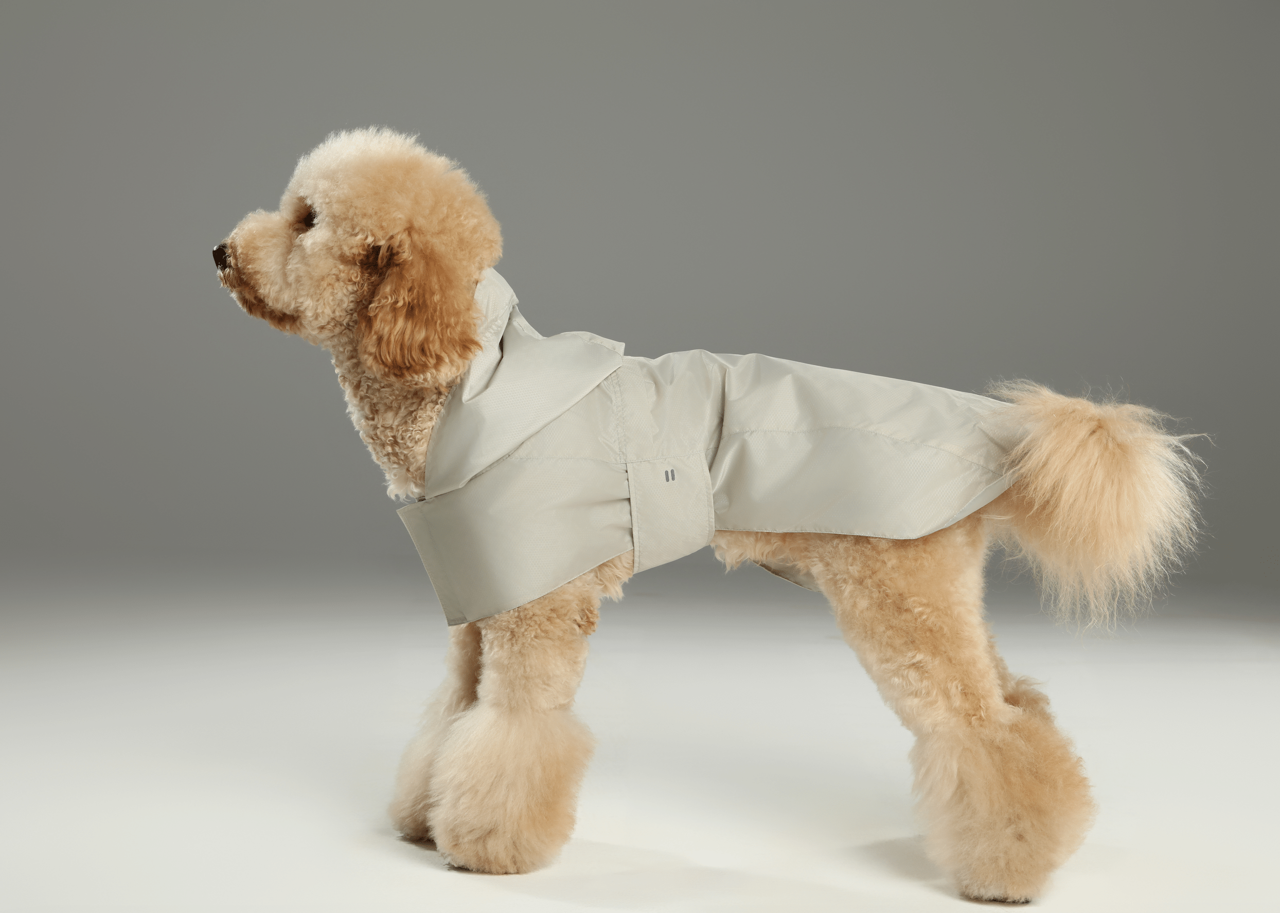 Minimalist Rain Jacket for Dogs & Cats| Beige | Dogs & Cats | Stella & Bone