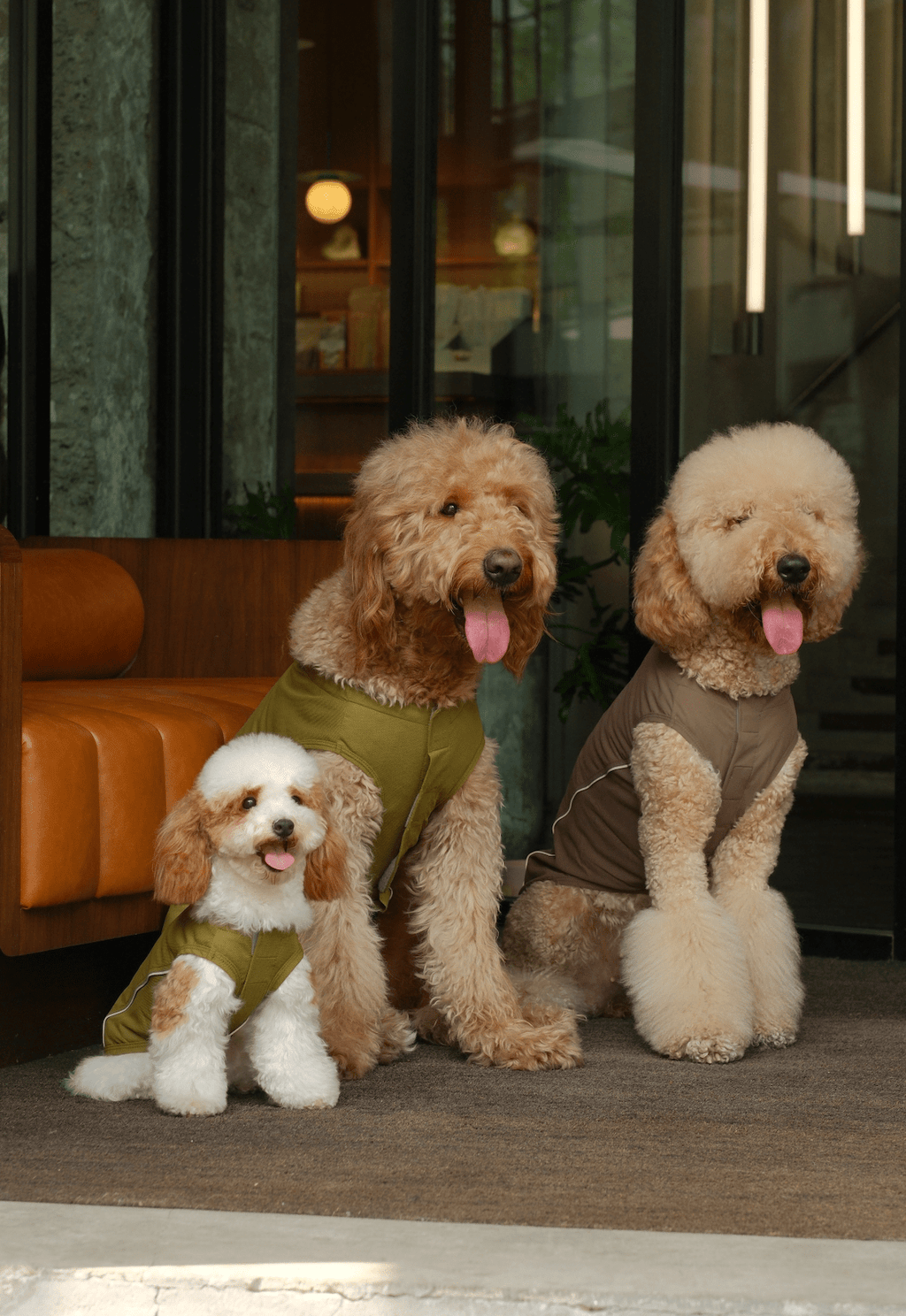 Mocha Reflective Sport Vest | Reflective Dog & Cat Vest | Mocha | Stella & Bone