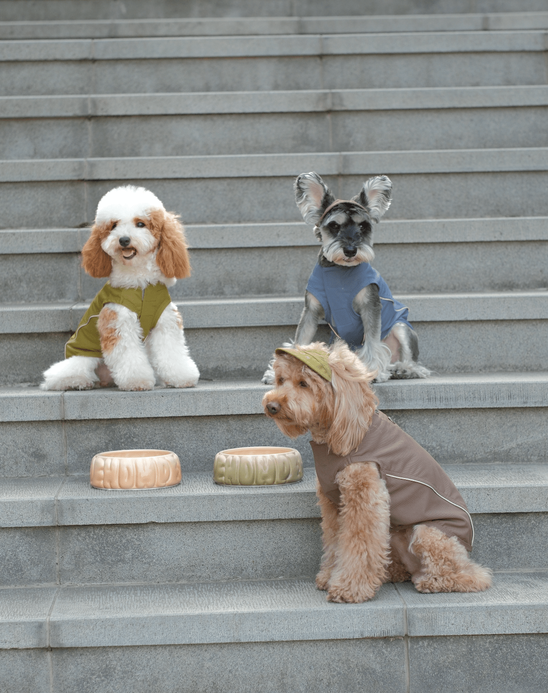 Mocha Reflective Sport Vest | Reflective Dog & Cat Vest | Mocha | Stella & Bone